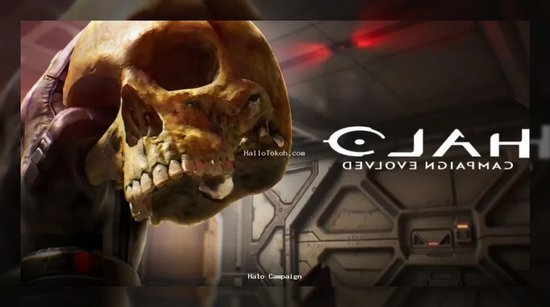 Halo Campaign Evolved Skull Locations Guide: Master All 39 Collectibles<span class="gemini-post-meta-desc" style="display: block; font-size: 16px; color: #555555; line-height: 1.6; margin-top: 10px; margin-bottom: 10px; font-weight: 400; font-family: sans-serif; text-transform: none; letter-spacing: normal;">Discover all Halo Campaign Evolved skull locations and modifiers with our comprehensive guide to mastering every single hidden collectible across all missions.</span>