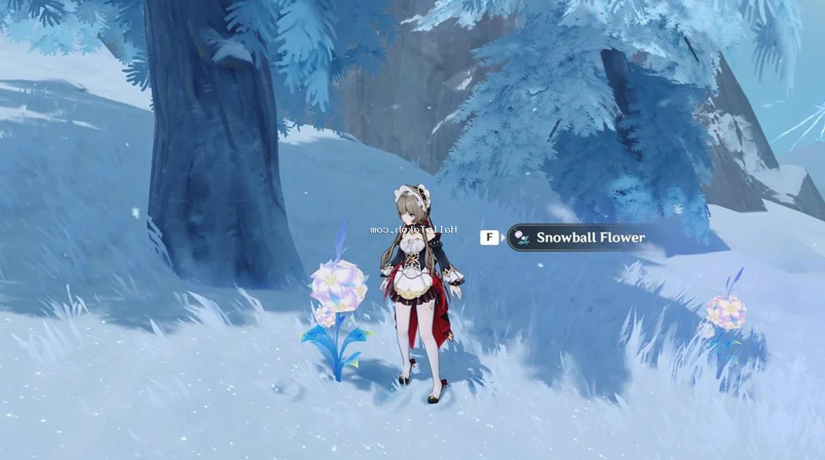 Genshin Impact Snowball Flower Locations and Optimal Farming Route Guide<span class="gemini-post-meta-desc" style="display: block; font-size: 16px; color: #555555; line-height: 1.6; margin-top: 10px; margin-bottom: 10px; font-weight: 400; font-family: sans-serif; text-transform: none; letter-spacing: normal;">Master the Snowball Flower locations in Genshin Impact version 7.0 with this detailed farming route and material guide for craftable weapons.</span>